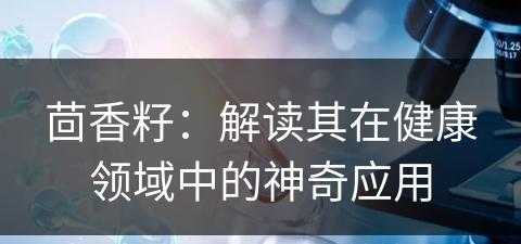 茴香籽：解读其在健康领域中的神奇应用